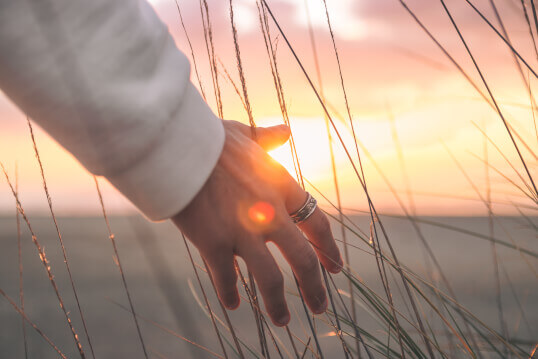 Testamentary Trust Wills image